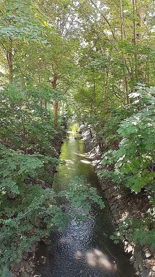 Apartments Am Spitalthor Straubing Dış mekan fotoğraf
